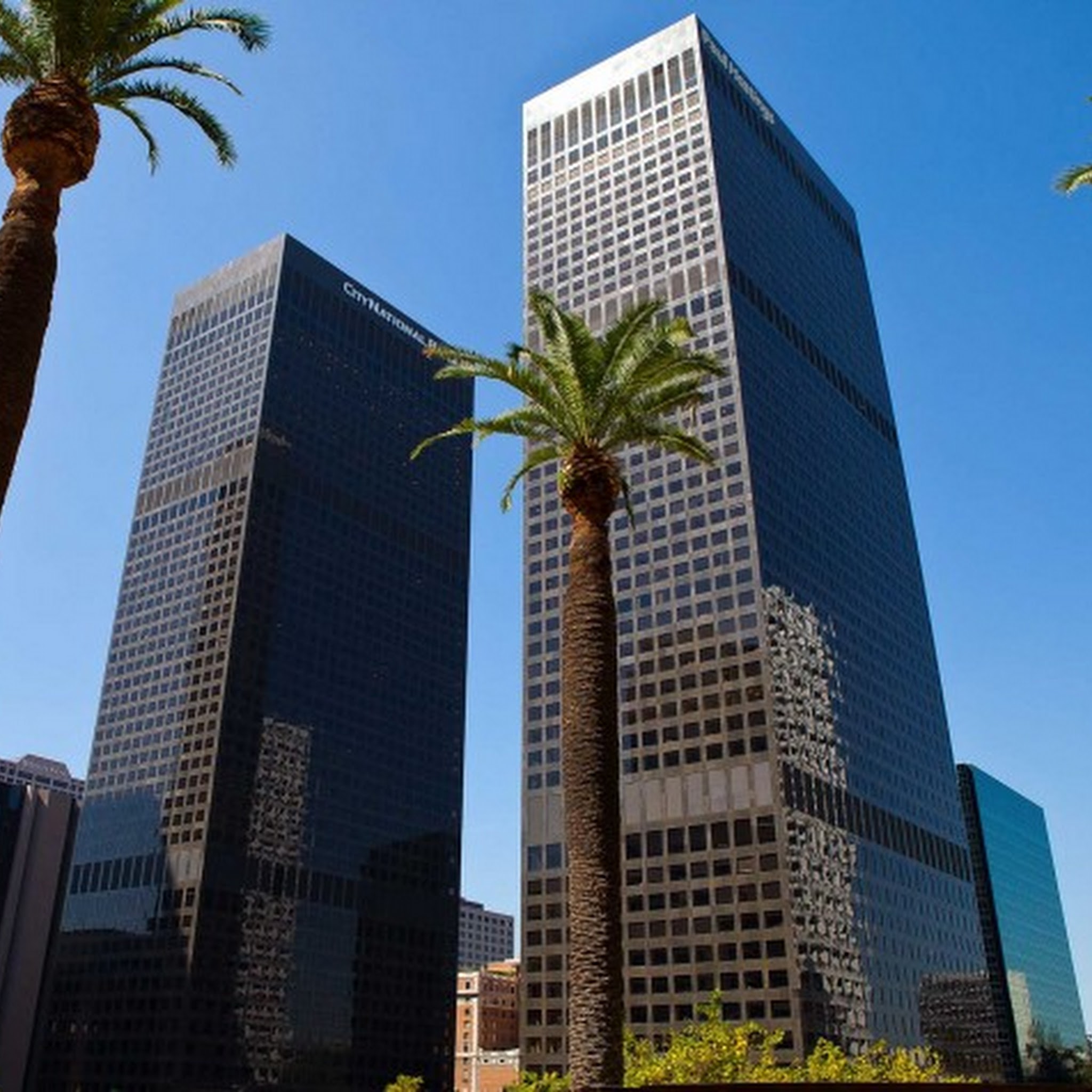 Yang Law Offices image 3