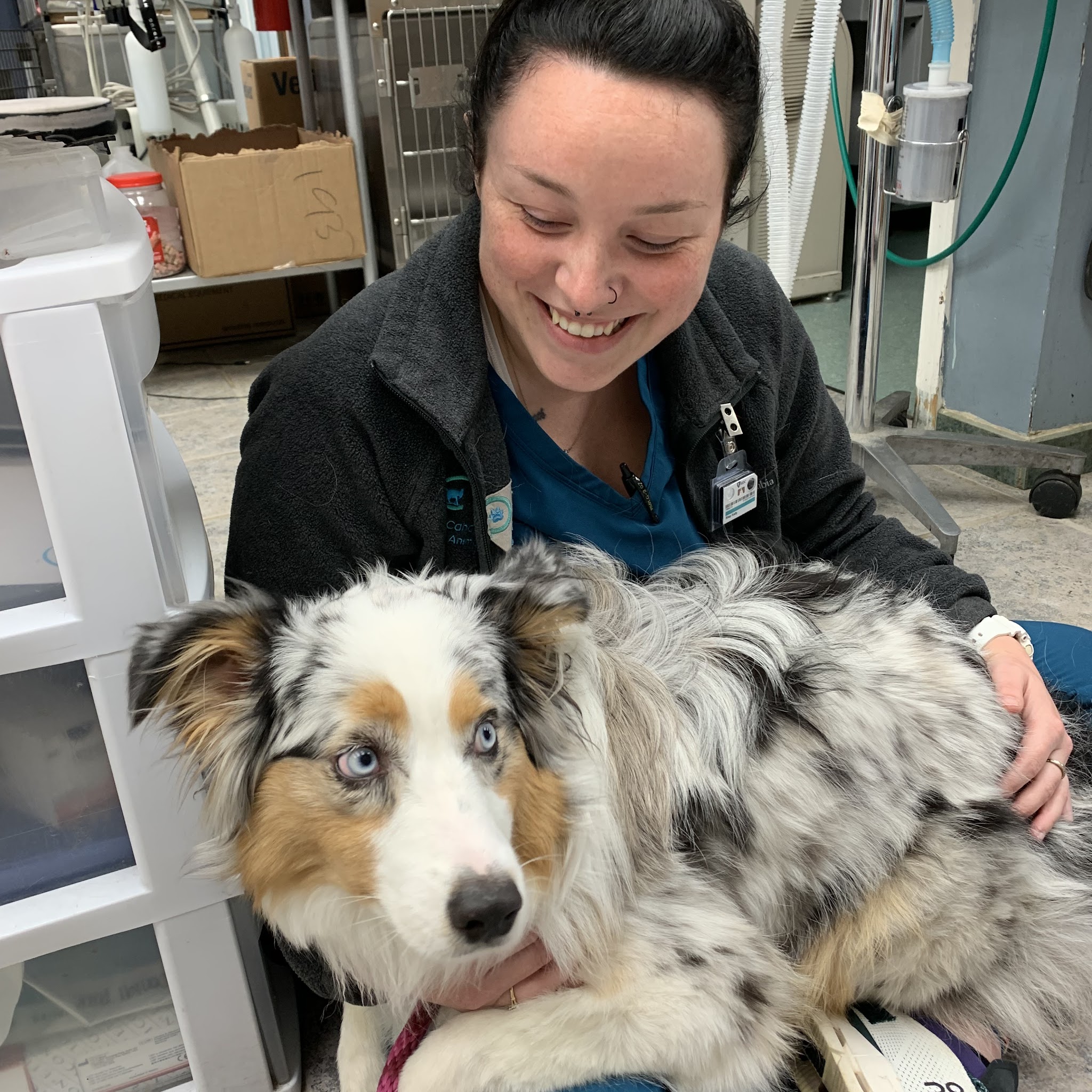 Cahaba Valley Animal Clinic image 2