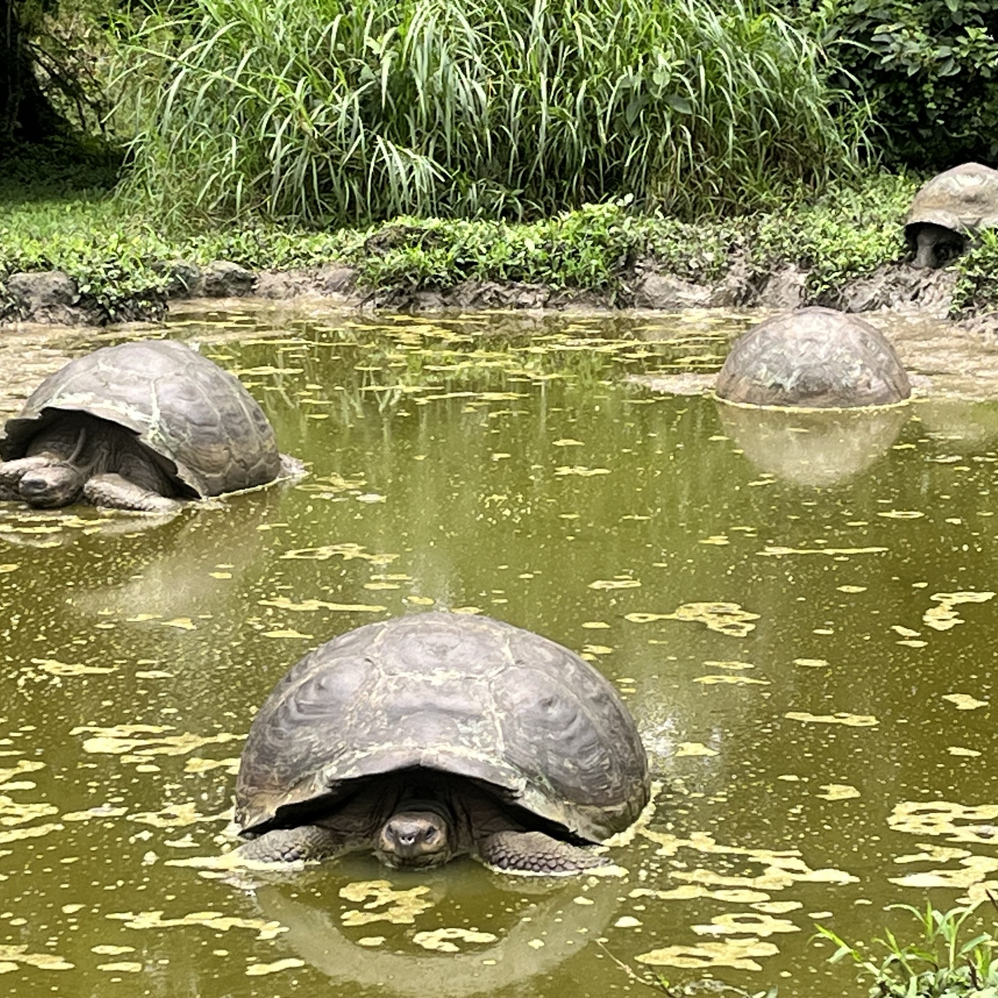 Michele Travels image 3